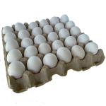 Huevo de Exportación